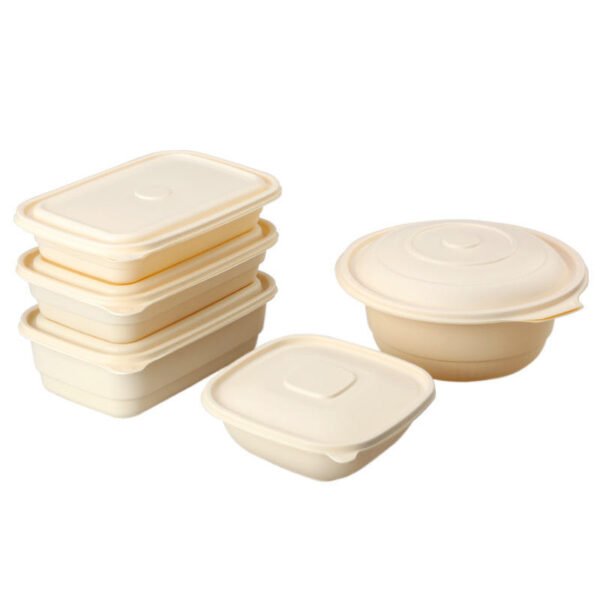 Biodegradable Cornstarch Takeaway Food Packaging Boxes Disposable to Go Lunch Bento Box Food Container Wholesale