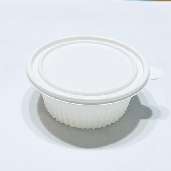Biodegradable Cornstarch Takeaway Food Packaging Boxes Disposable to Go Lunch Bento Box Food Container Wholesale