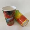 Disposable Double PE Coated Cold Drink 9oz 12oz 16oz Paper Cup for Juice, Soda,MilkShake, Cola